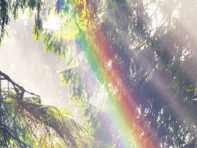 rainbow 400x300 1