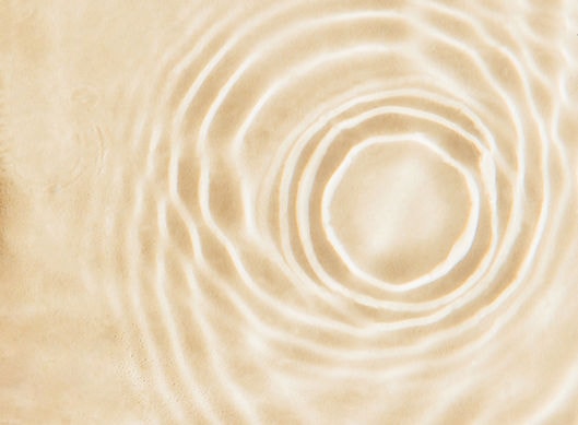 11062b 3450236304f44a9e8172f13969f3563fmv2