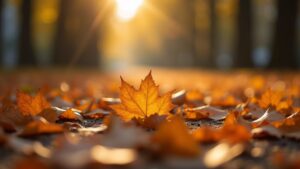 8b86b8 8cd0840c97ff47d5a2667fad81ef9fcdmv2